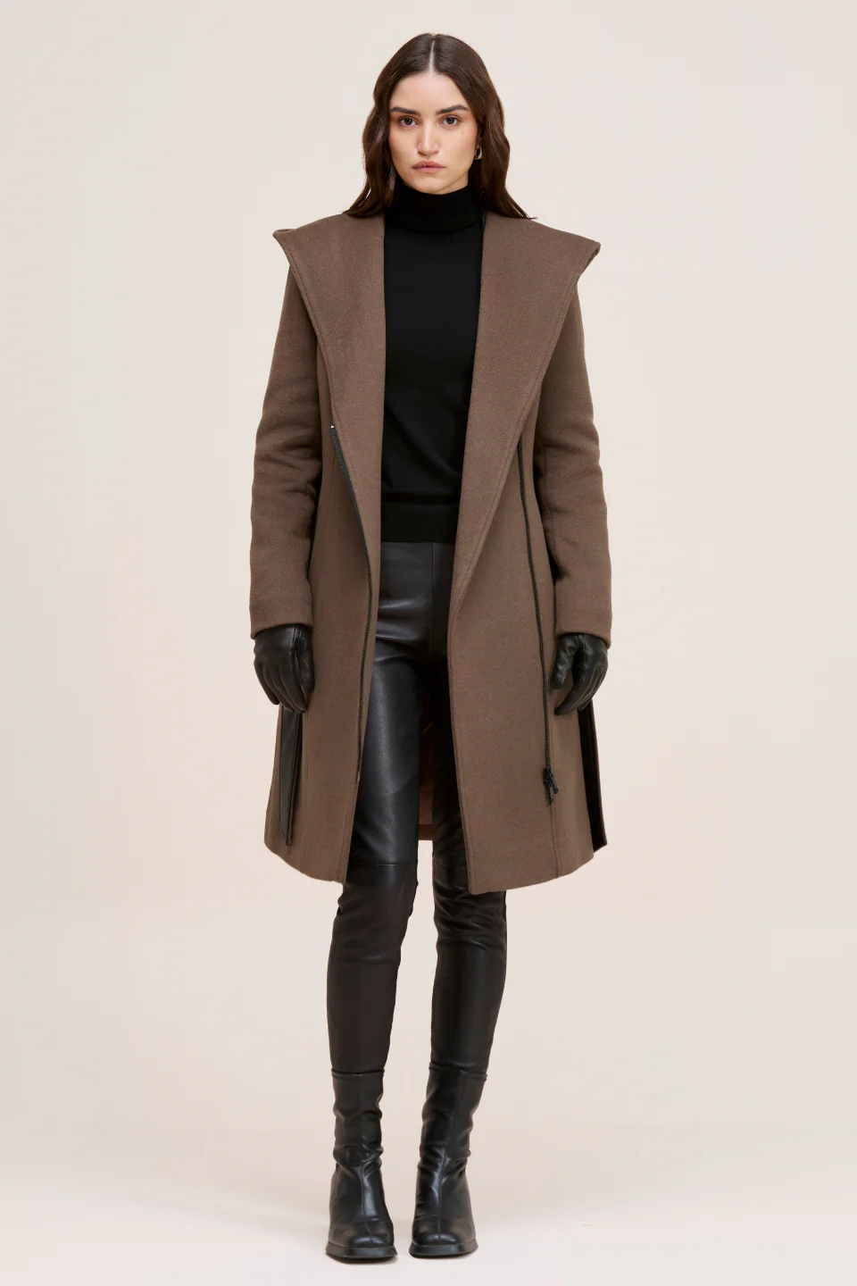 DANA - Image 4