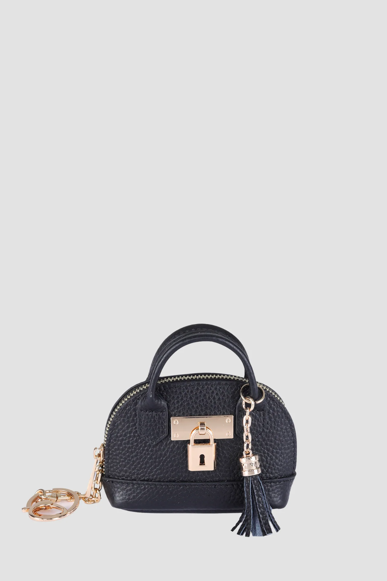POLLY - Image 4