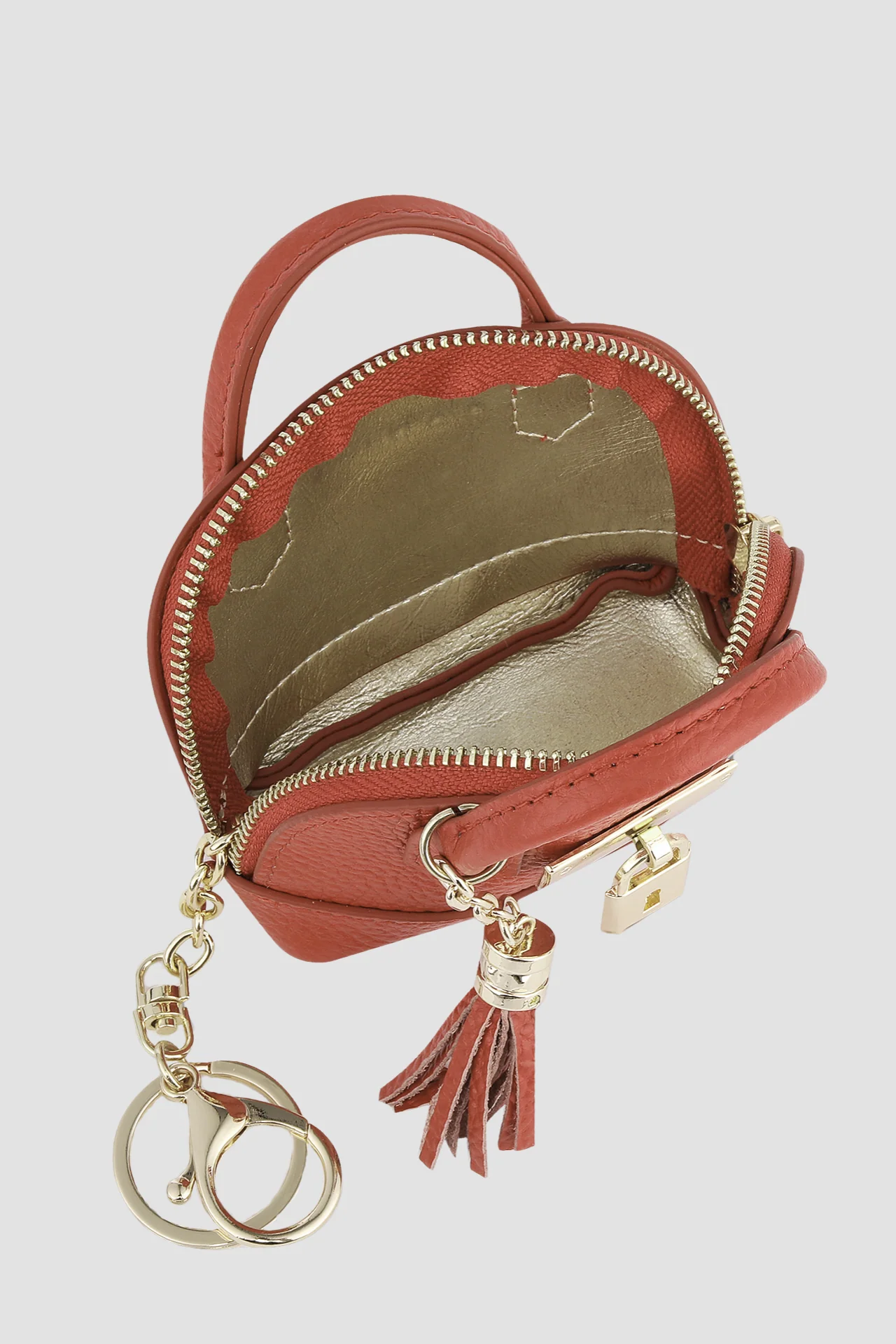 POLLY - Image 5